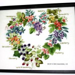 Berry Wreath, Elsa Williams Design