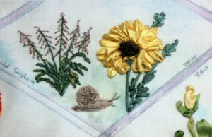 Wild sorghum, snail and lion mane daisy