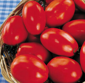 San Marzano Organic Tomato Seeds