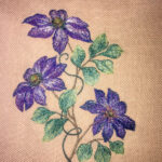 Clematis on soluble