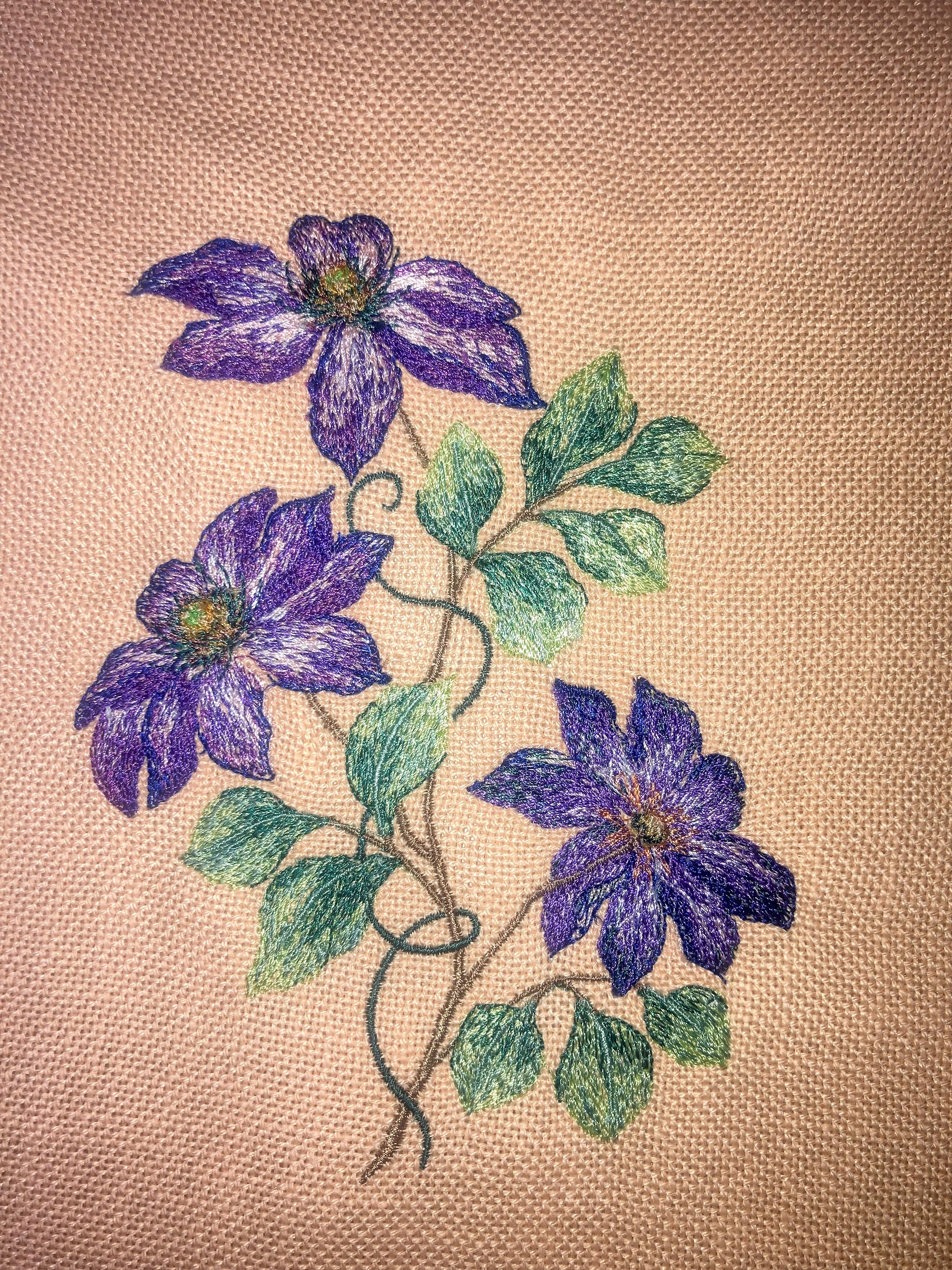 Clematis on soluble