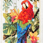 Tropical Parrot closeup