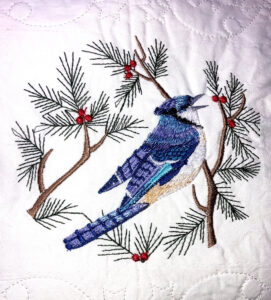 Blue Jay on branch, pillow front