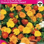 Marigold French Double Dwarf