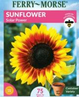 Sunflower solar power