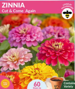Zinnia Cut and Come