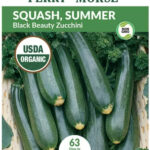 zucchini Squash
