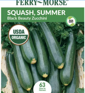 zucchini Squash