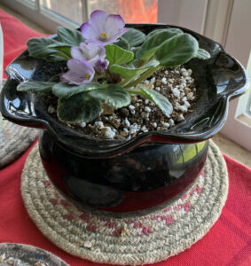 Rob's Pewter Bell, in black, 2-piece self watering pot June 22, 2025.