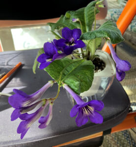 Nightfall Oct 11, 2025.