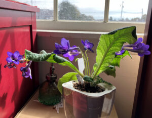 Nightfall Oct 26, 2025