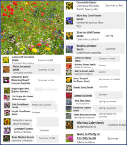 half pound Northeast Wildflower Seed Mix Amer Meads Oct 26, 2025