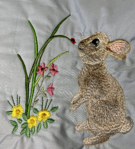 Ladybug and Rabbit front