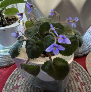 Punter 6, March 26, 2026.