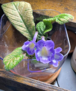 Clouds, Feb 27, 2026