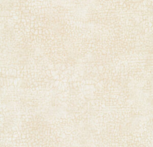 Fabric for SB border, Crackle Shortbread Cream by Northcott Fabrics