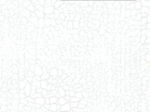 Fabric for SB border, Crackle Snow White by Northcott Fabrics