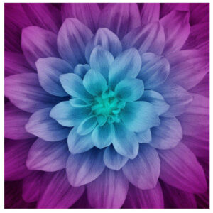 dream big aurora 43-inch square panel