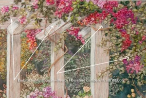 Di climbing Bougainvillea