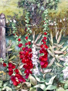 Di Hollyhocks