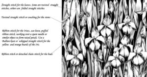 Di Irises w comments