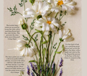 Di van Niekerk daisy petals and stems
